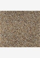 Plain Canary Seed (C-BRD09)