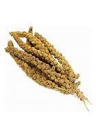 Millet Sprays (C-BRD18)