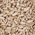 Sunflower Hearts (C-BRD16B)