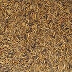 Dried Calciworms Bulk (C-BRD69)