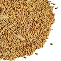 Best Budgie 20KG (C-BRD06)