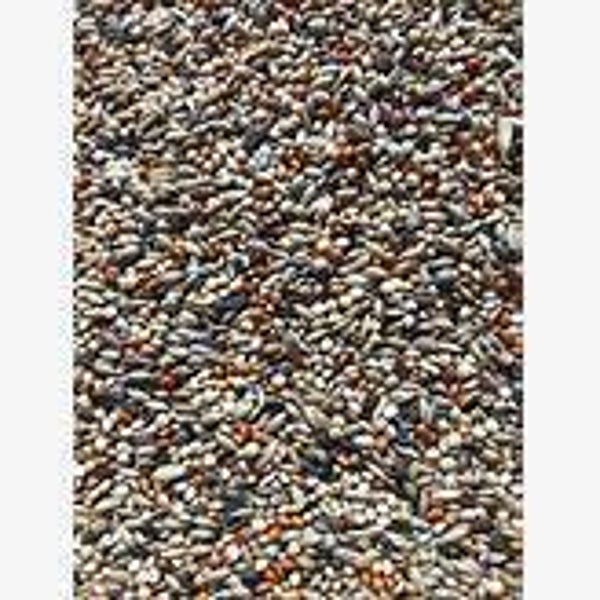 Country Wide Neophema Mix 20KG (C-BRD39)