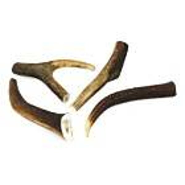 Deer Antler (C-A40/01/02/03/04)