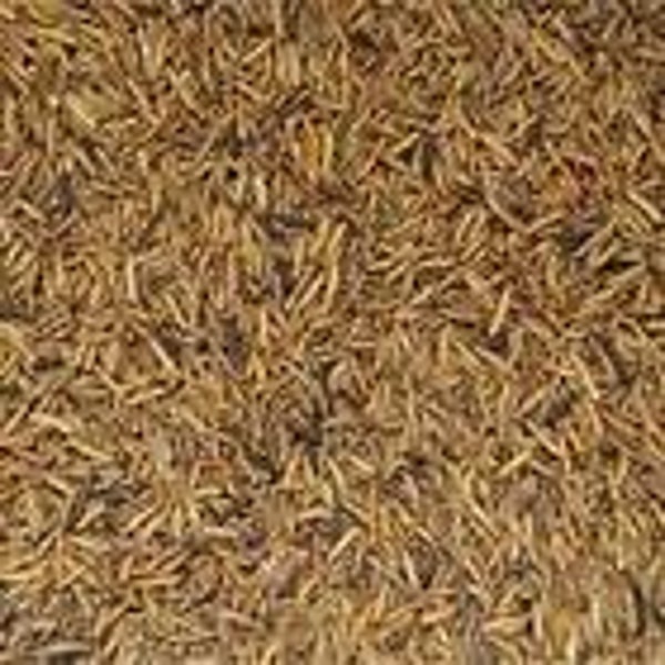 Dried Calciworms Bulk (C-BRD69)