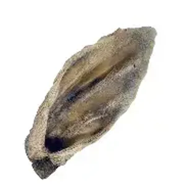Lambs Ears with Hair (C-A0134)