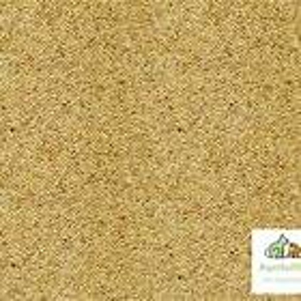 White Millet (C-BRD09A)