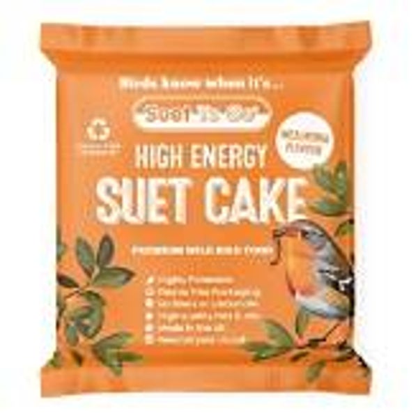Suet To Go Suet Feast/Cake Mealworm. (C-BRD6582)
