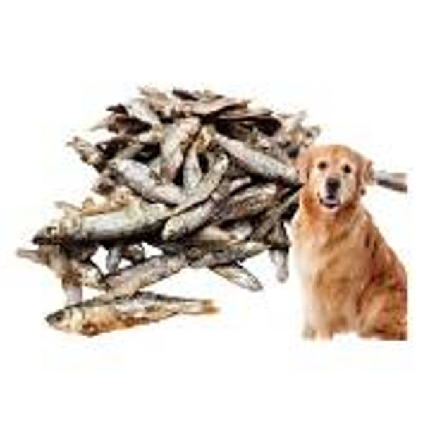 Sprats (C-A07)