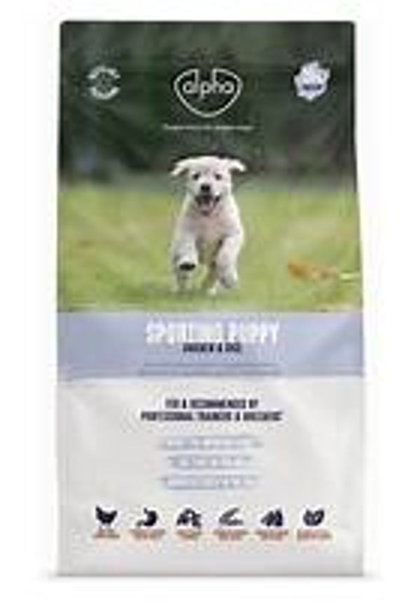 Alpha Sporting Puppy (C-AL06/61)