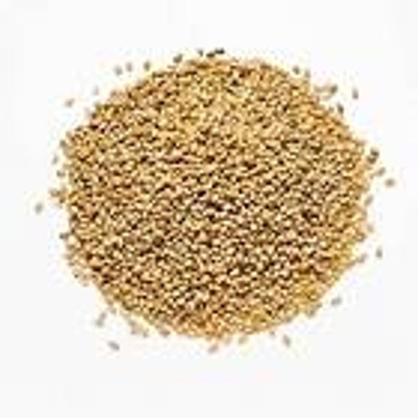 Panicum Millet (C-BRD09B)
