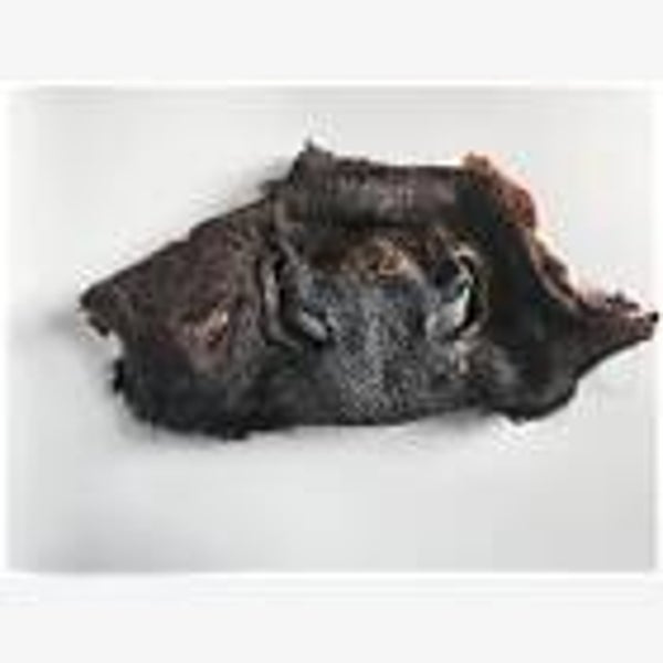Cows Nose (C-A0124)