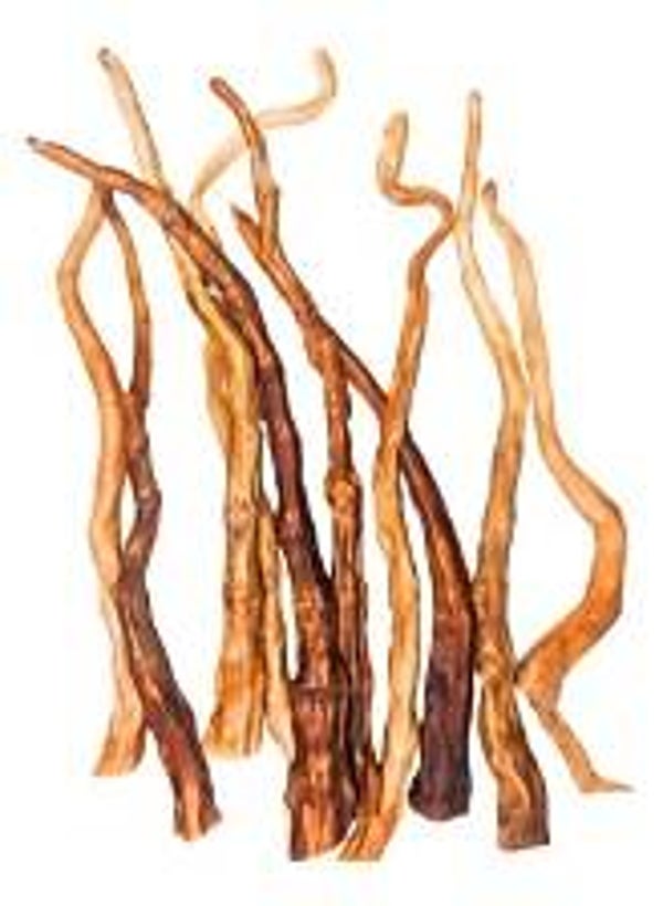 Buffalo Tails (C-A14B)