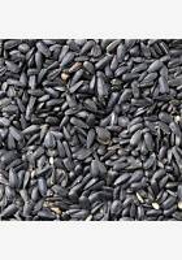 HGK Black Sunflower 13KG (C-BRD17A)