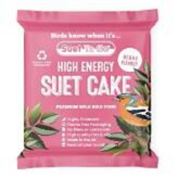 Suet To Go Suet Feast/Cake Berry. (C-BRD6583)