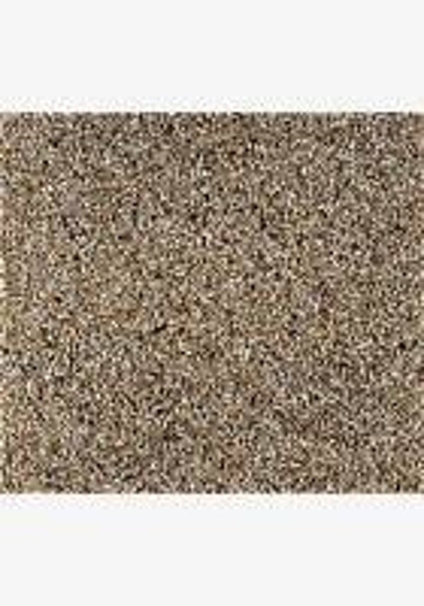 Plain Canary Seed (C-BRD09)
