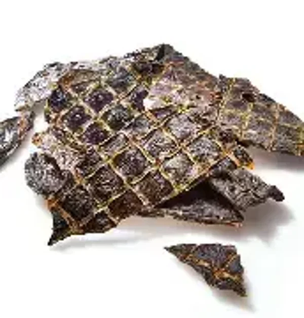 Liver Pieces (C-A21)