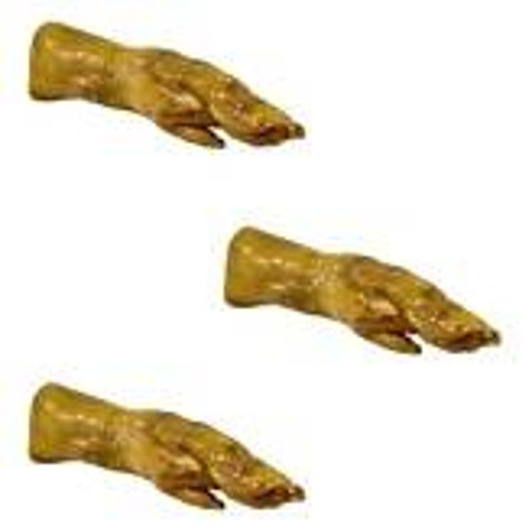 Trotters (C-A17)