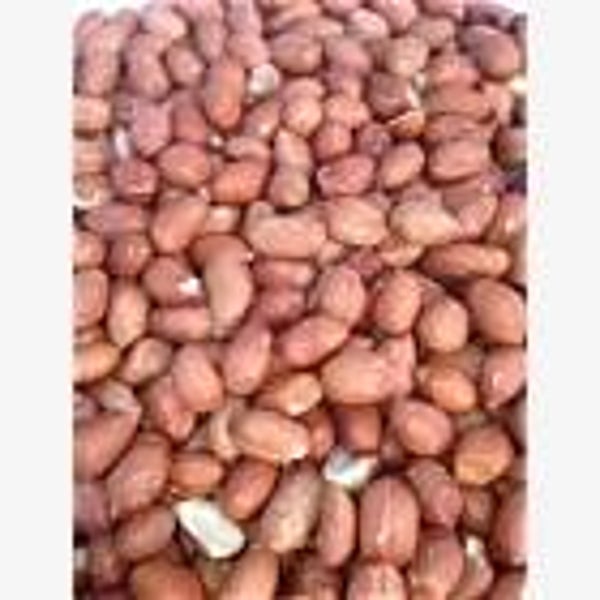 Peanuts  (C-BRD01A)