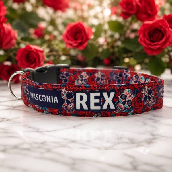 COLLAR CALACA