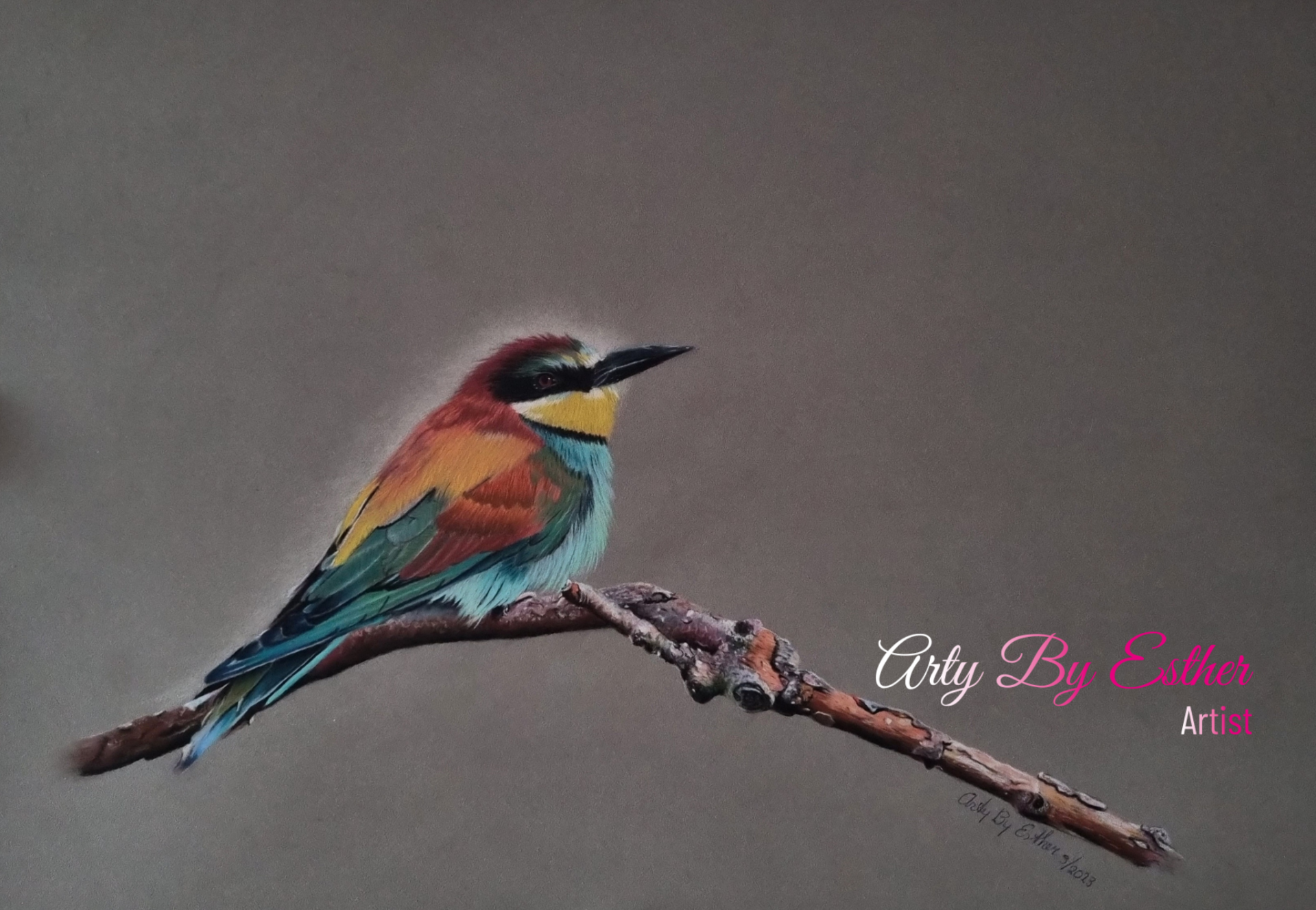Bee‑Eater on a Branch – Original Pastel Drawing by Arty By Esther 50x35c