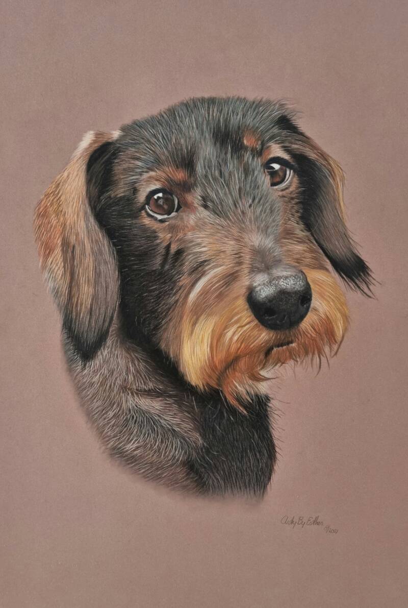 realistic pastel dog portrait of a Labrador - example of custom pet portrait by Arty by Esther