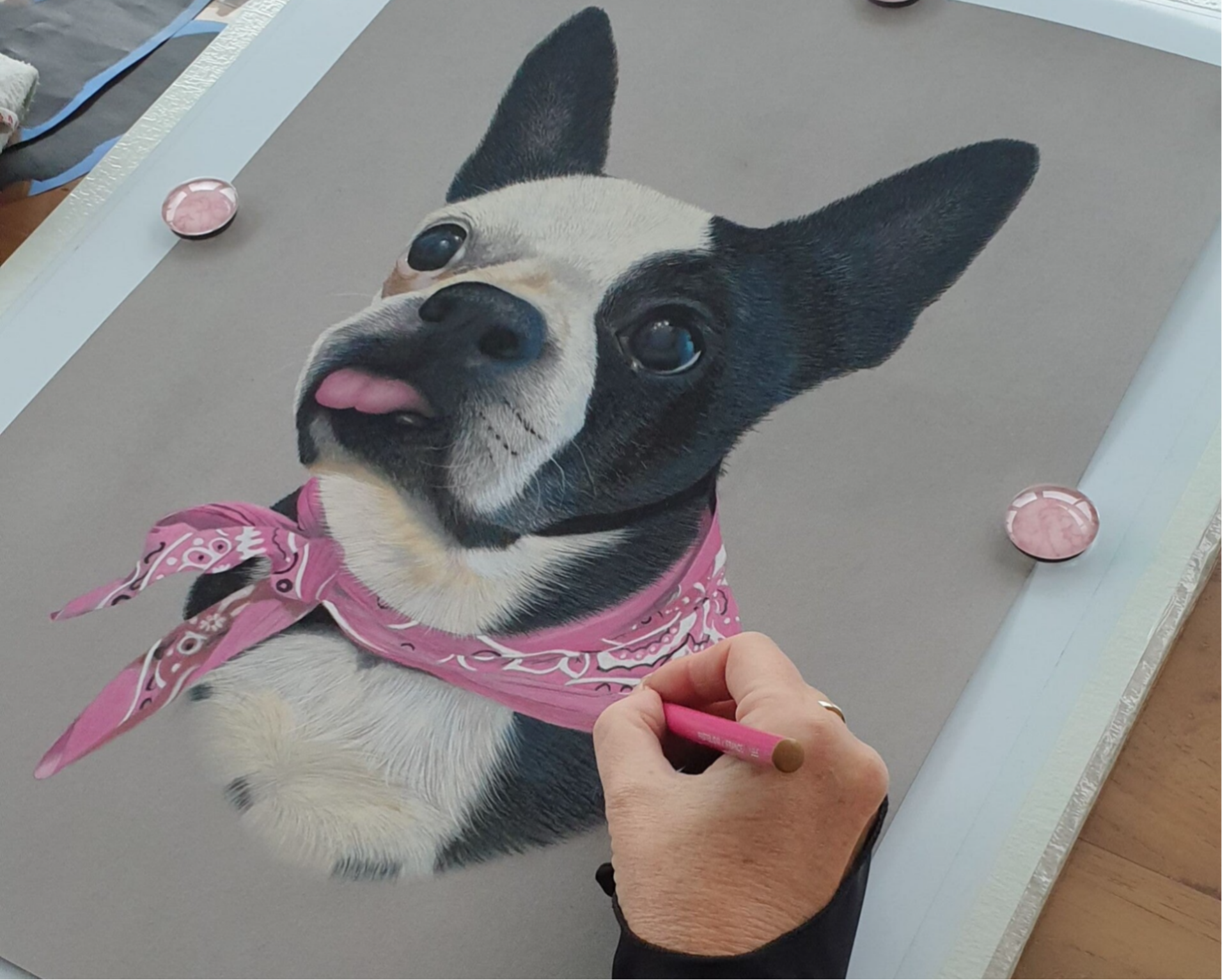 custom pastel pet portrait Boston Terrier by ArtyByEsther