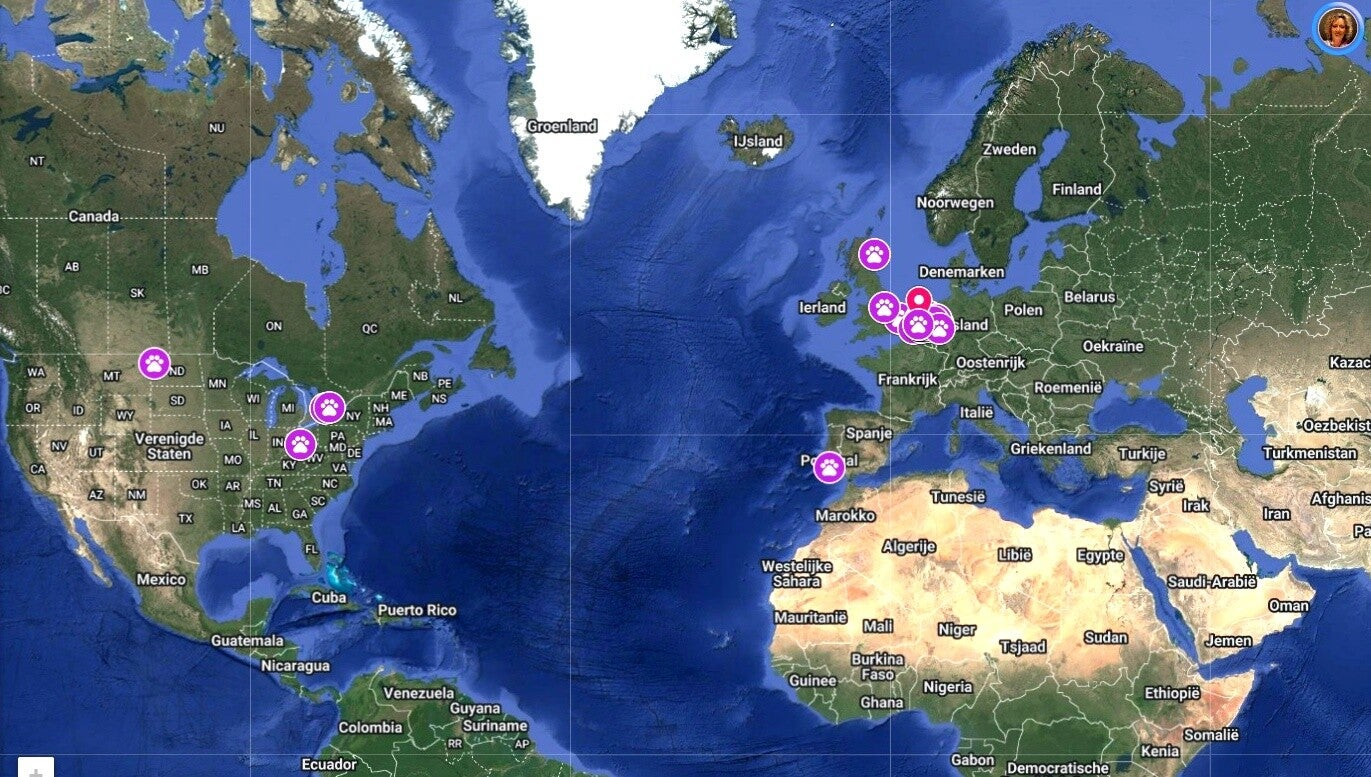 Map showing international pet portrait clients worldwide - custom art shipped from Nieuwerkerk Netherlands to USA UK Portugal