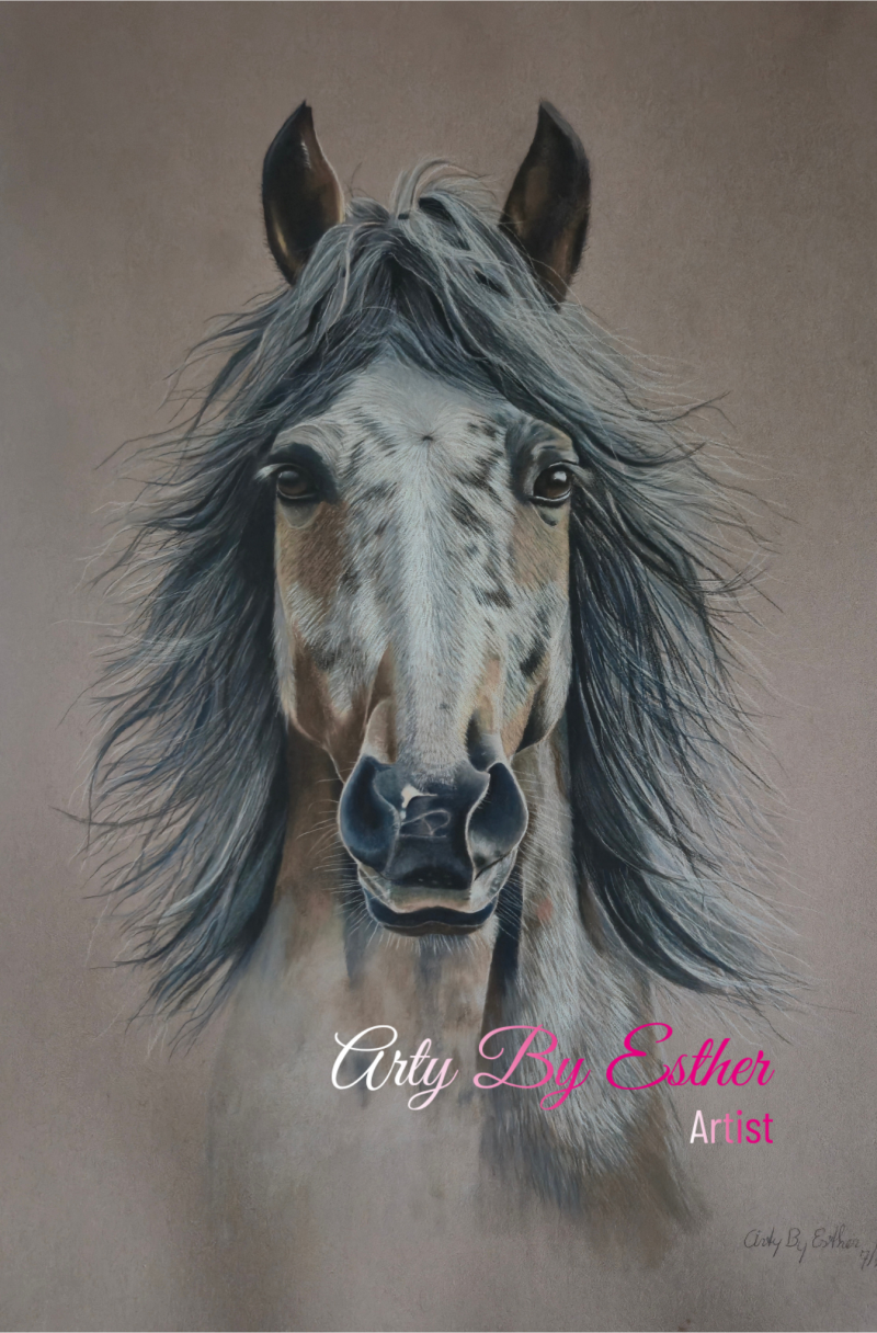 Original realistic pastel drawing of an Appaloosa horse named Whispers of Pippa in the Wind by Arty By Esther