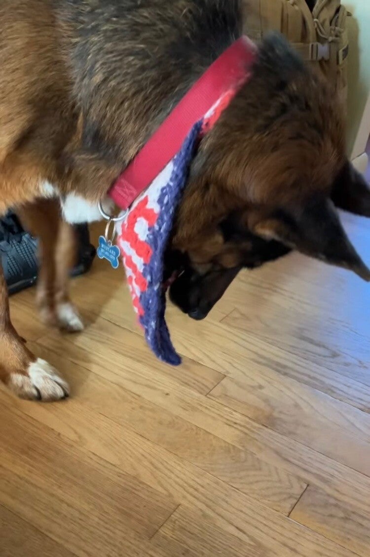 Grannie Dog Bandana Large