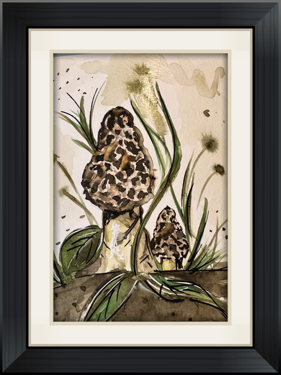 Morilles
