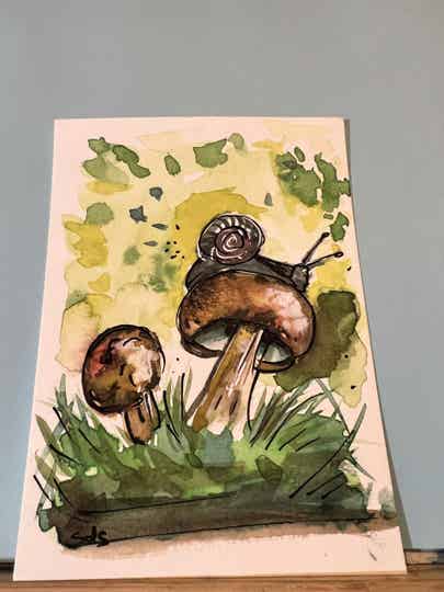 Champignon