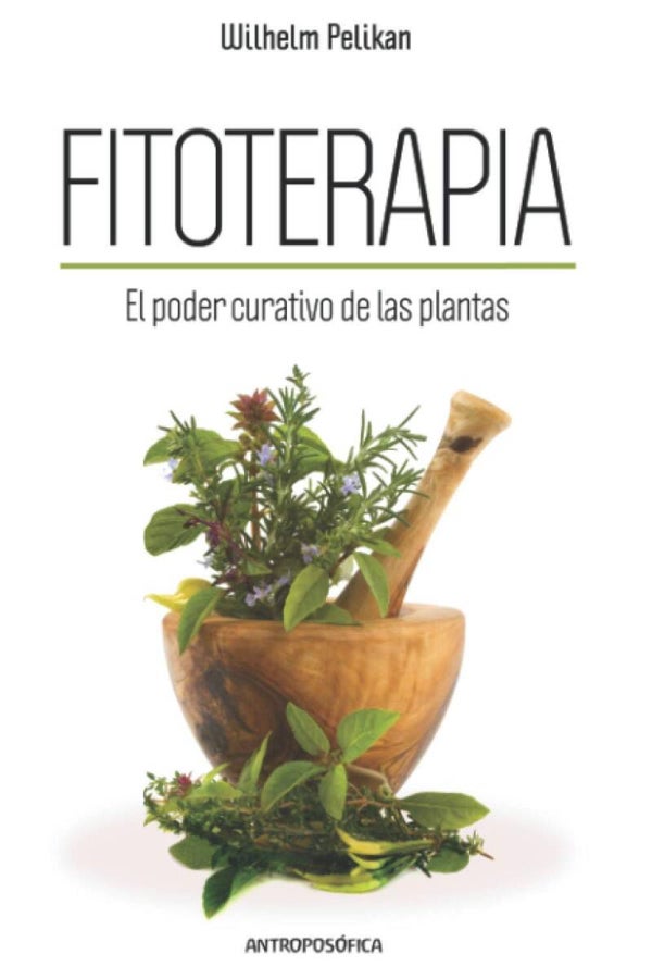 Fitoterapia: El poder curativo de las plantas