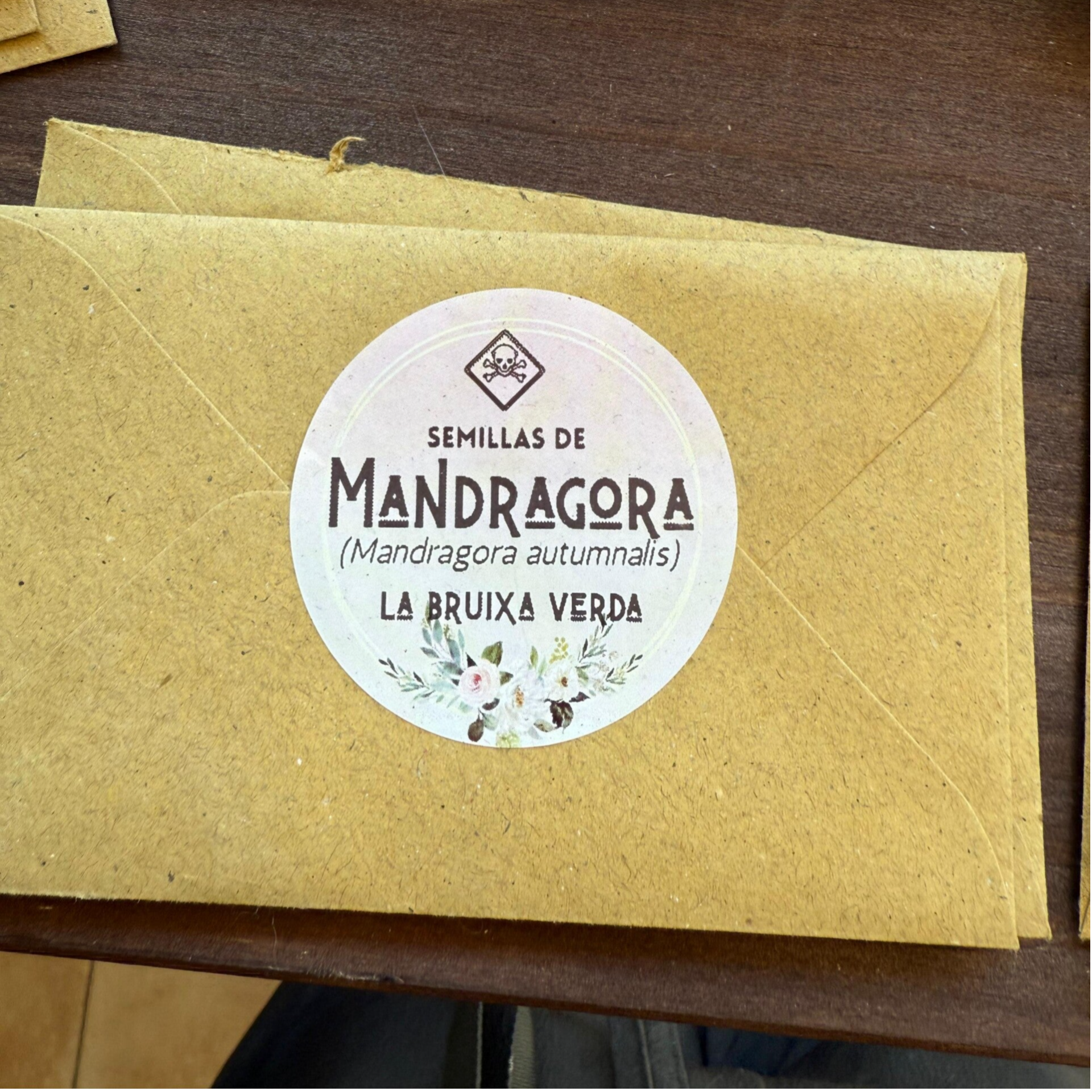 Semillas de Mandrágora autumnalis – La Raíz Mística de las Brujas