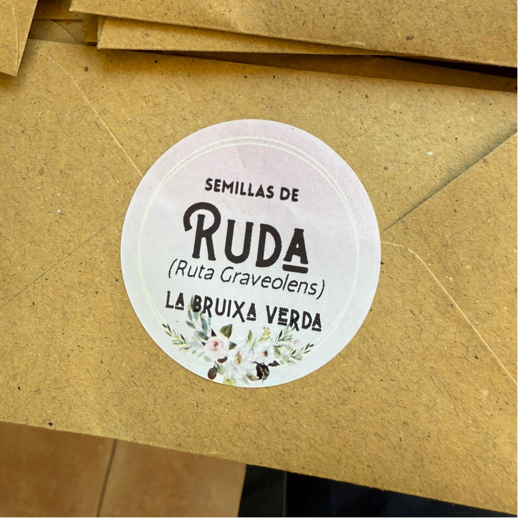 Semillas de Ruda – Planta Protectora de las Brujas
