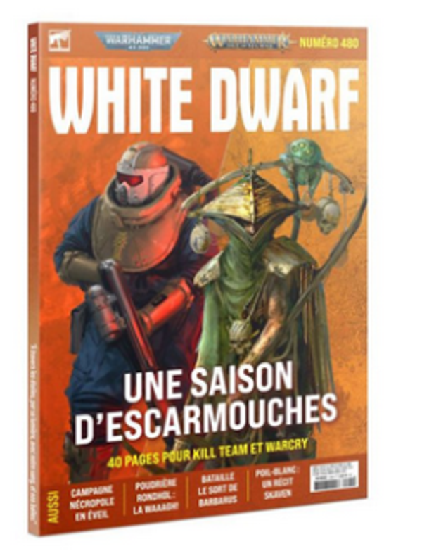 White Dwarf 480