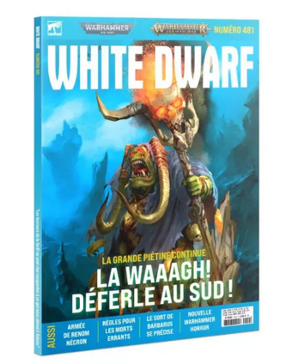 White Dwarf 481