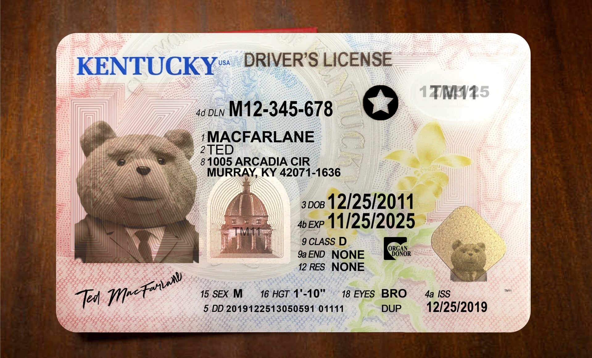 kentucky-dl-new-front-back12-standard.jpg