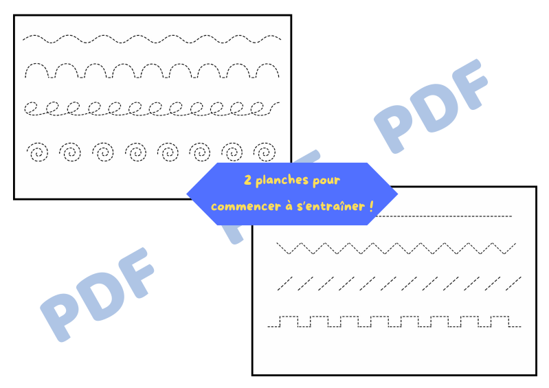 5-standard-888d8a.png