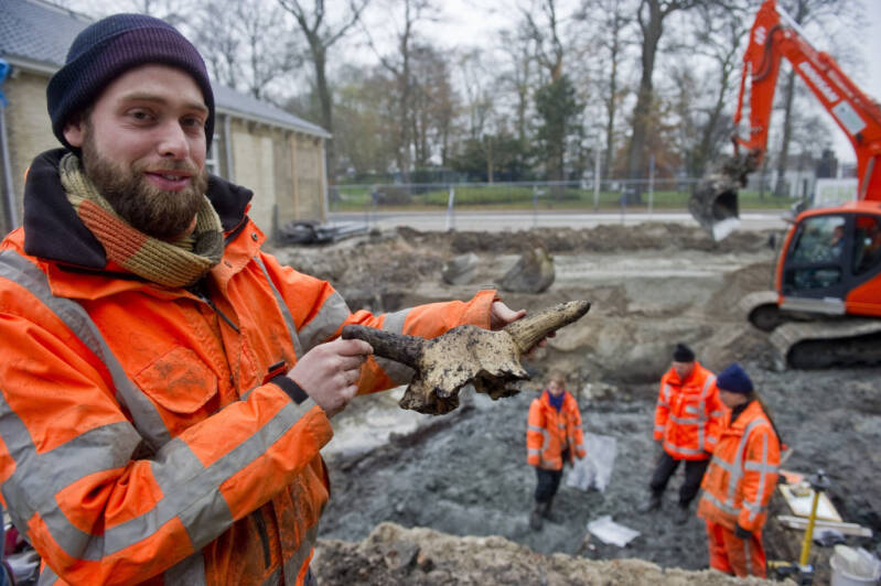 Koeienkoppen Leeuwarden