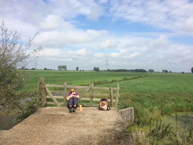 Floris V bij Dordrecht