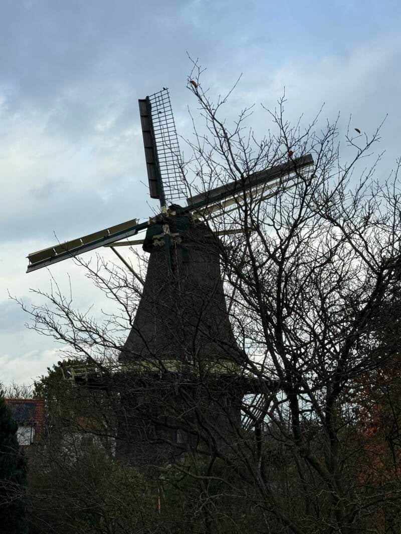 Nooit Gedacht Warnsveld