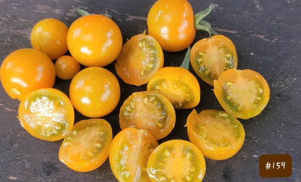 Orange Sukkerknald