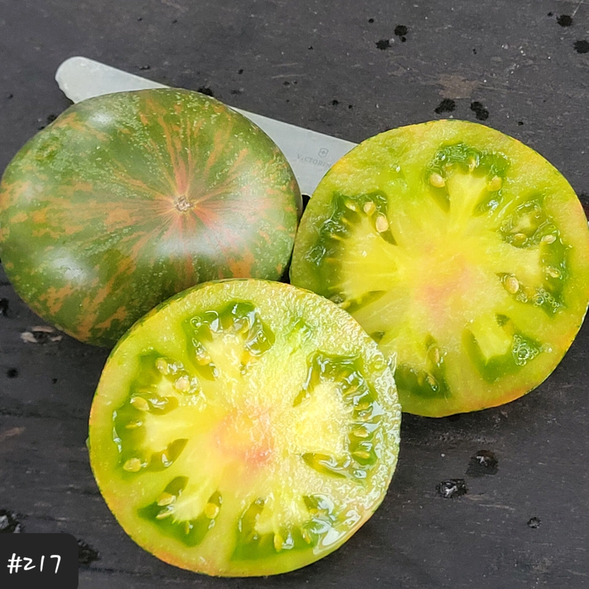 Cherokee Lime Stripes