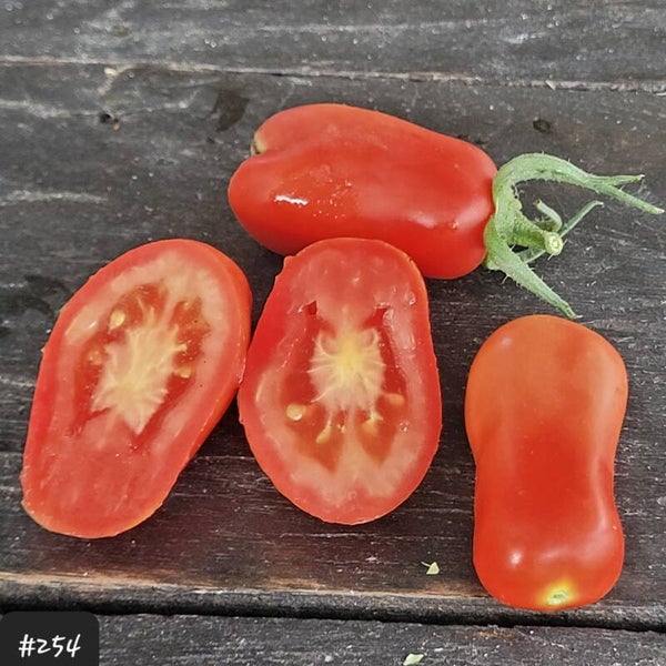 Pompeii Rosso Quadrato