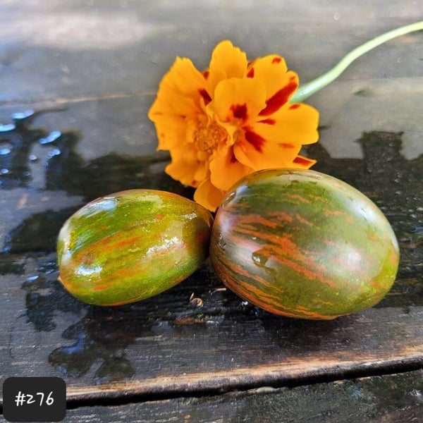 Kozula 132 - Zielone