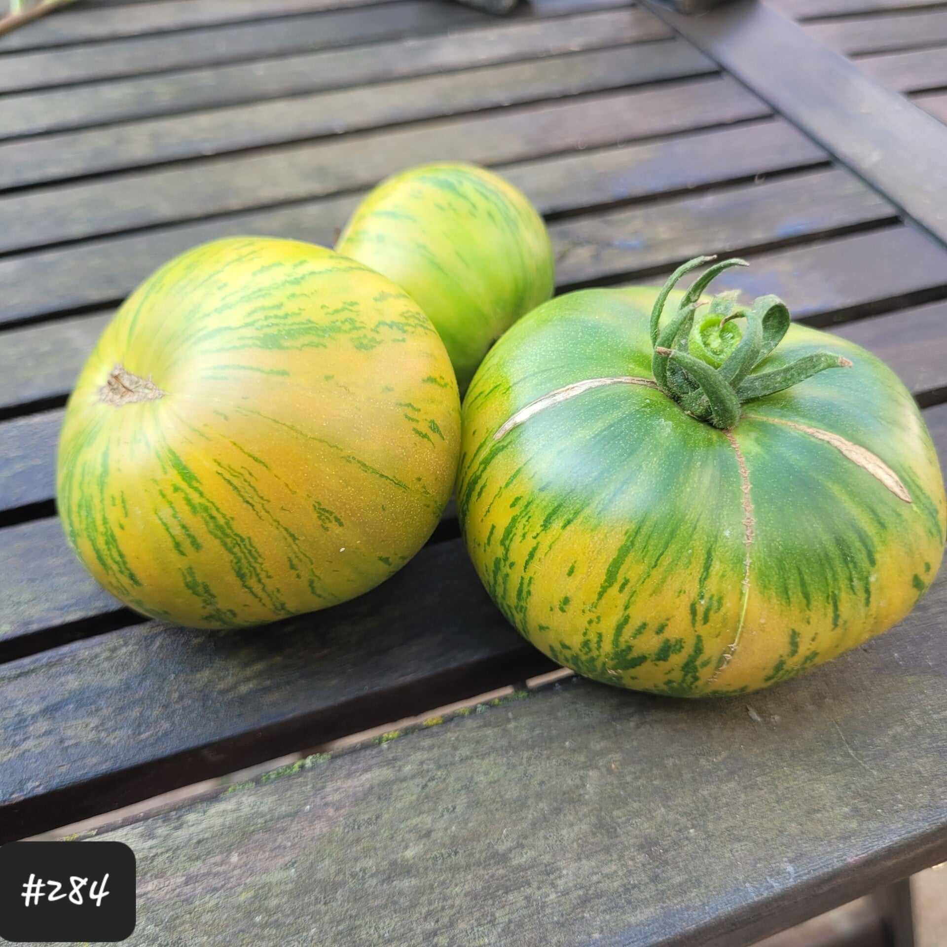 Chloe + Gindys West Virginia