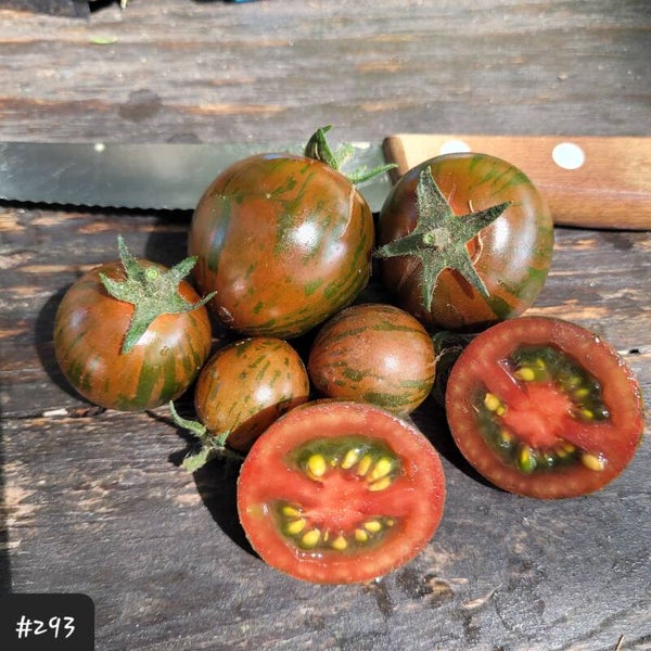 Ciliegino Nero di Turchia