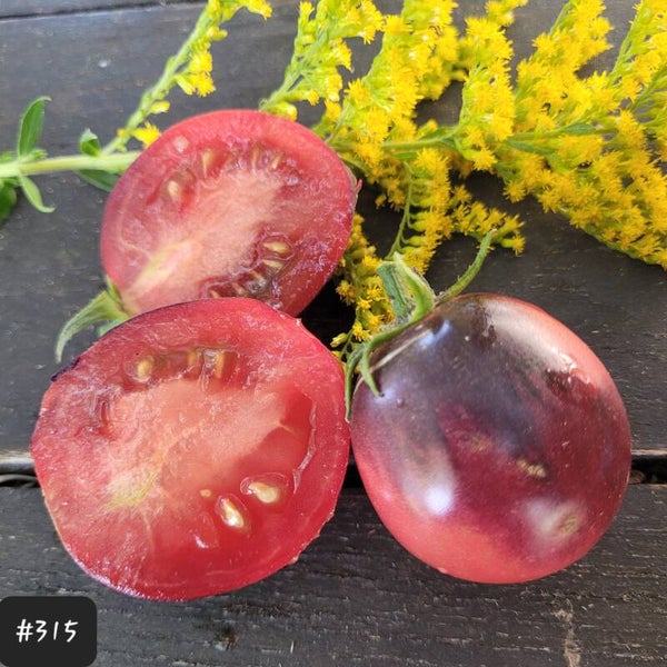 Soeur de Coeurs, H34 pink