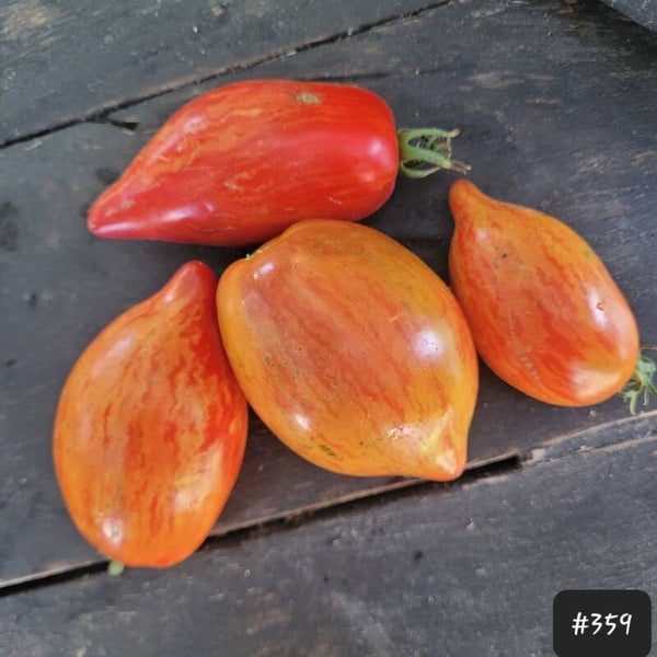 Bogatyr Ilyusha Cream