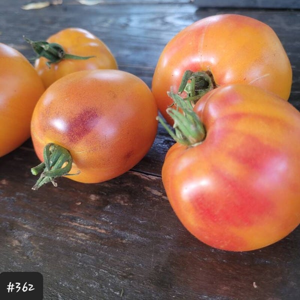 Sgt. Peppers Strawberry